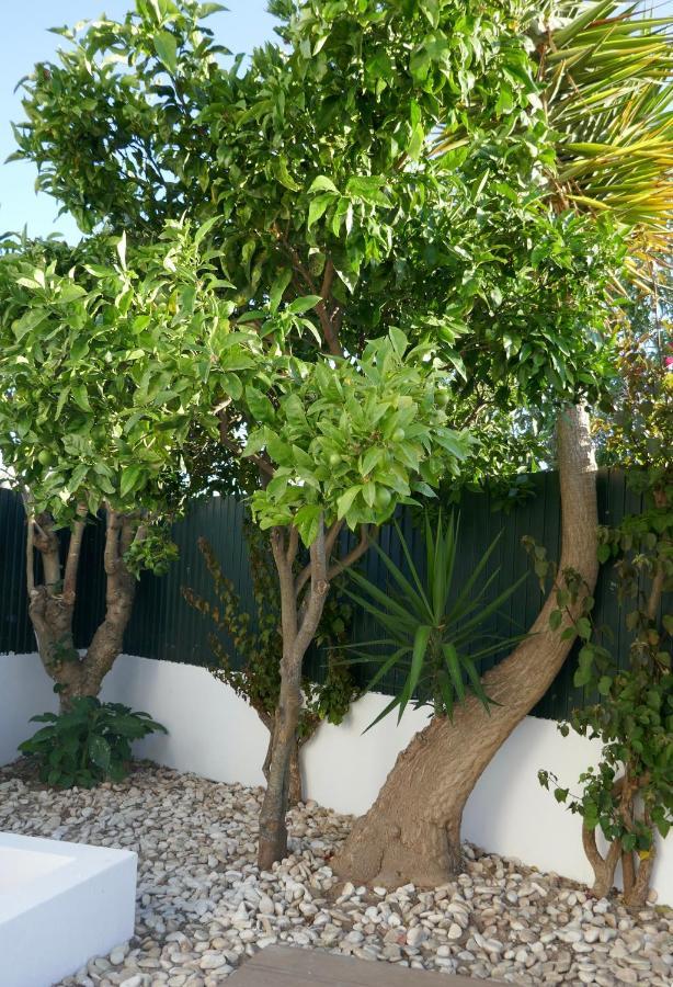 Villa A Sul Albufeira Exteriör bild